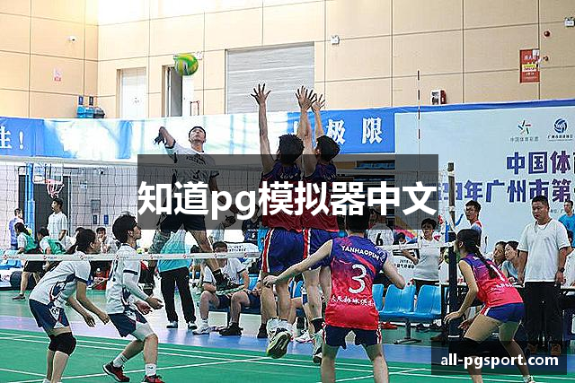 知道pg模拟器中文